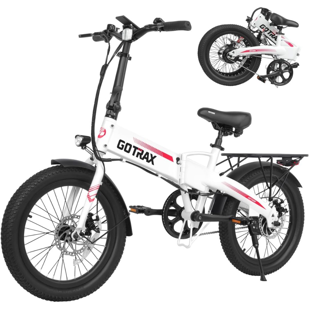 Folding Electric Bike