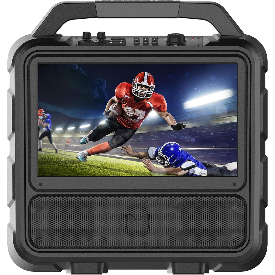 Portable Entertainment System - 15.6” Full HD Screen