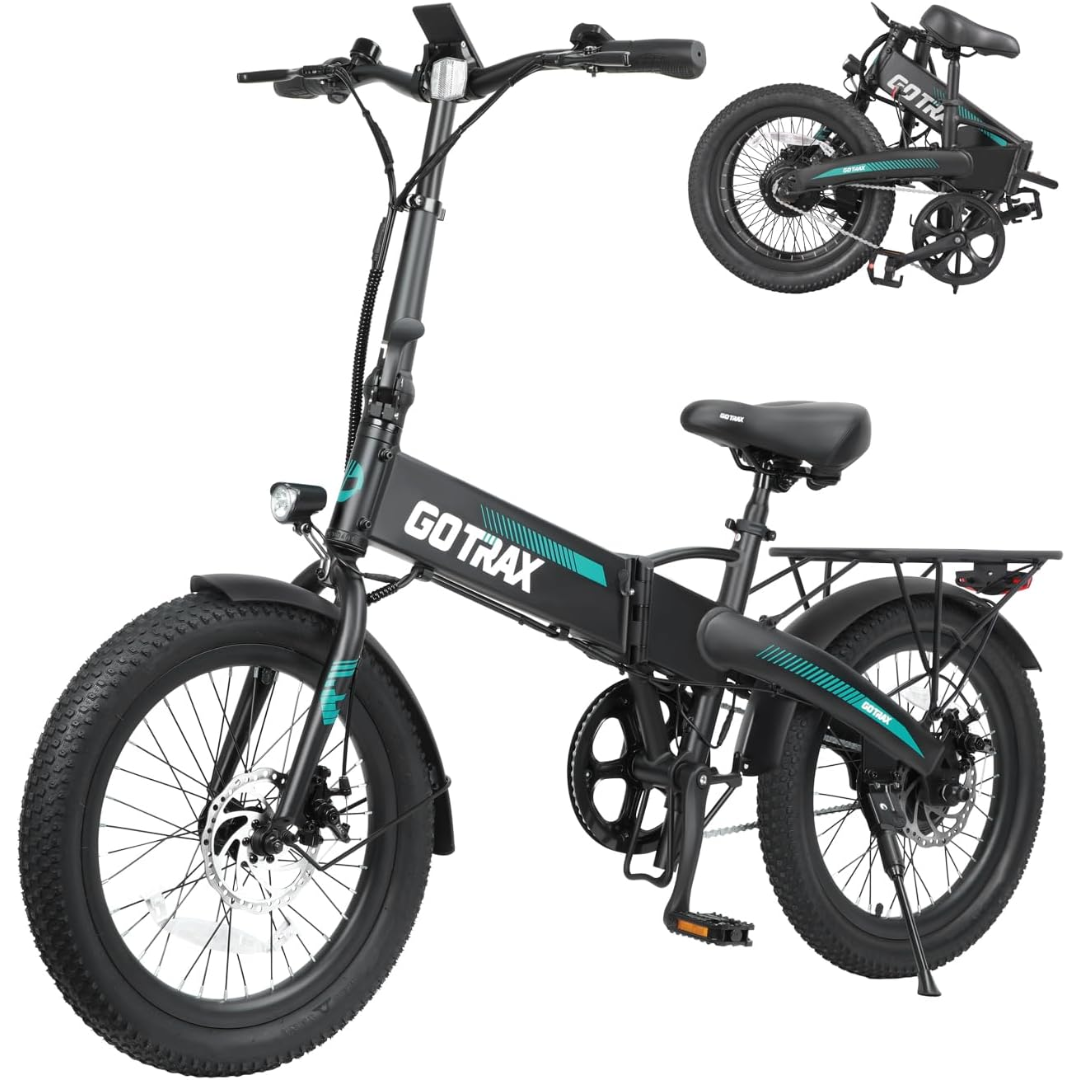 Folding Electric Bike