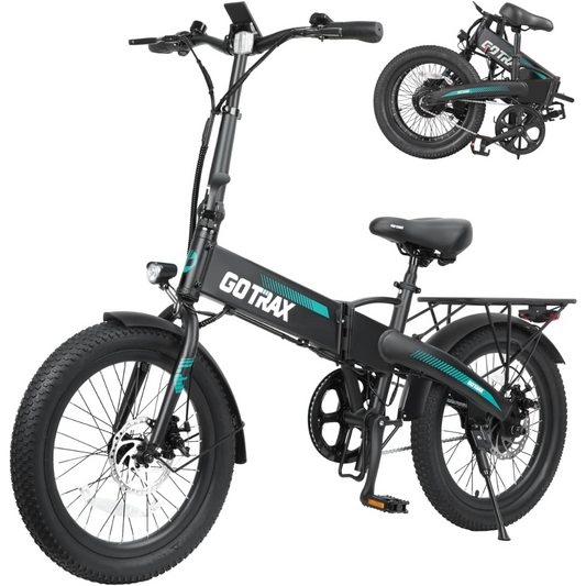Folding Electric Bike