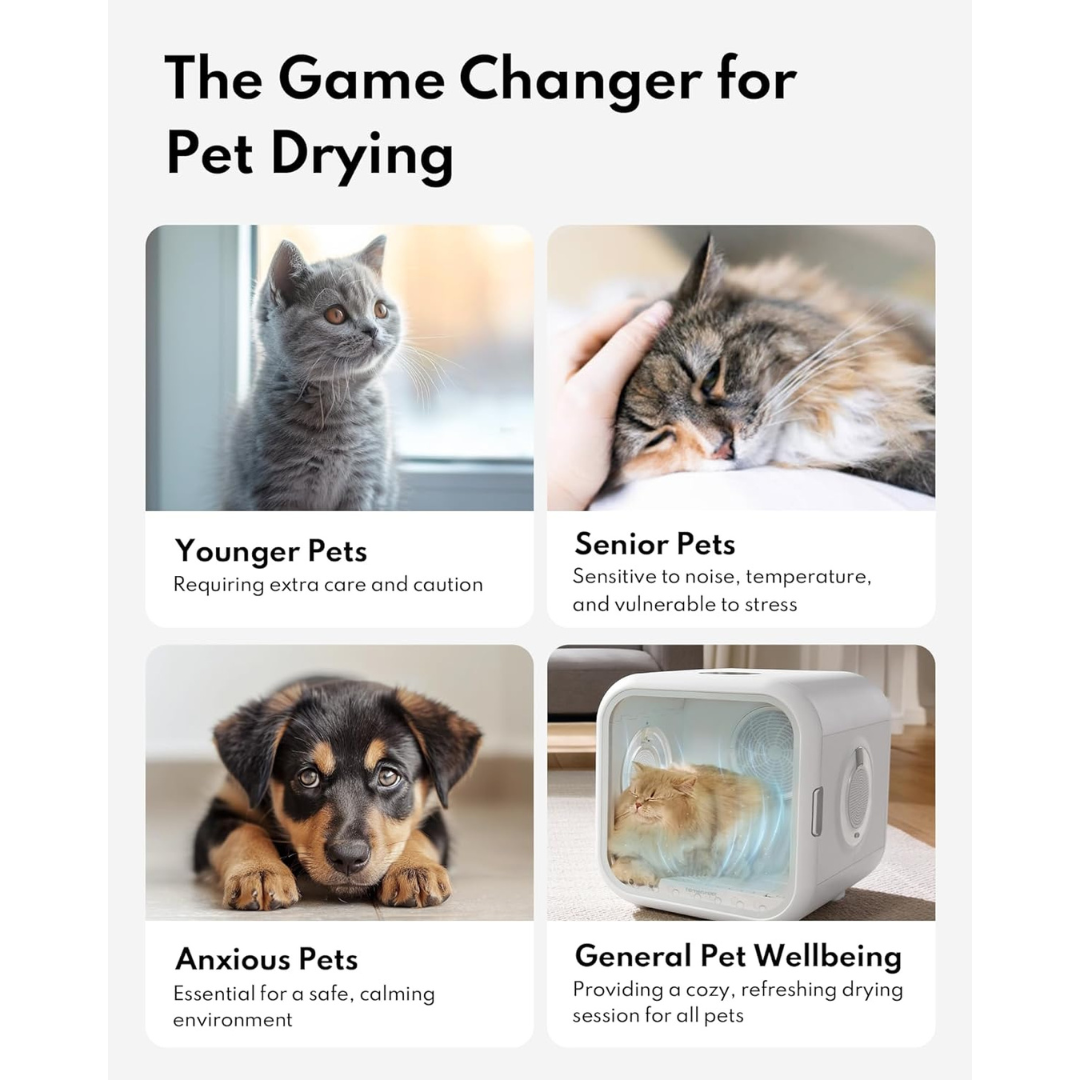 Automatic Cat Dryer Box