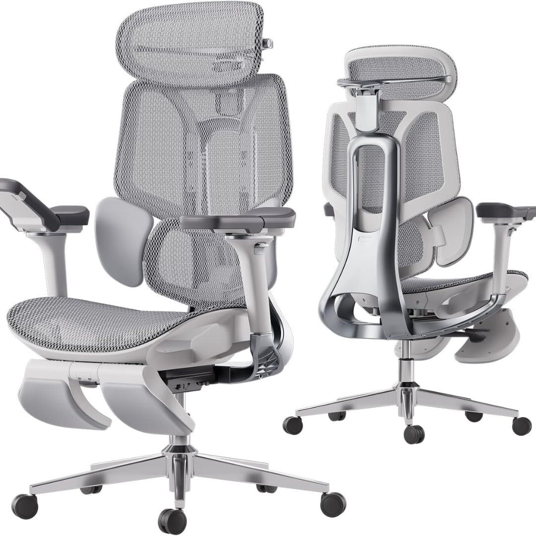 Ergonomic Office Chair