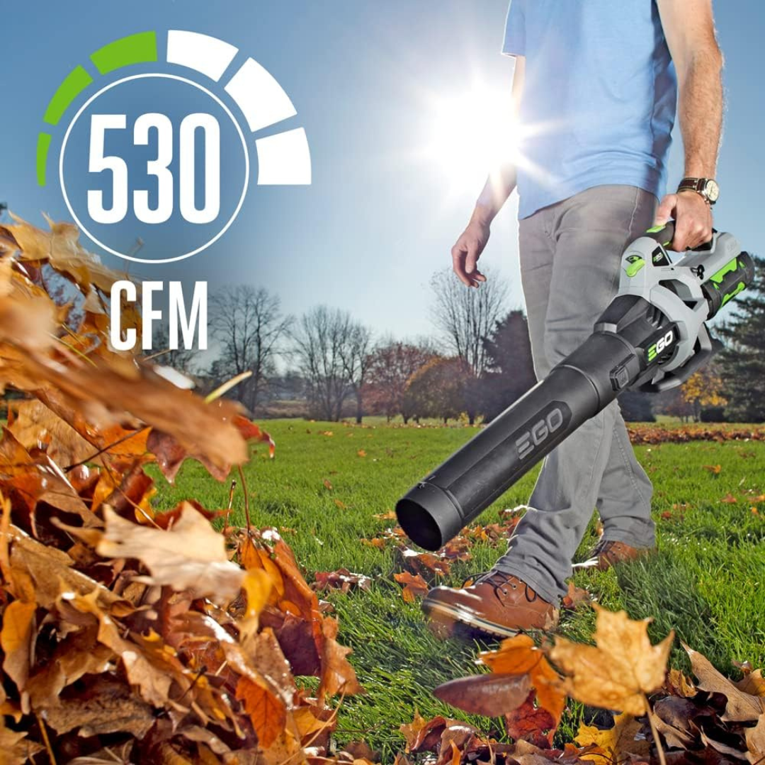 Cordless snow and leaf blower