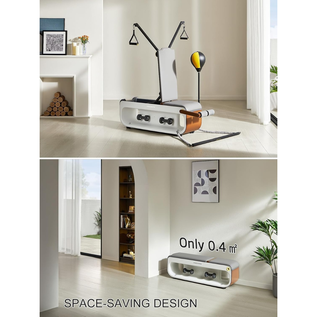 Multifunctional Adjustable Workout Bench