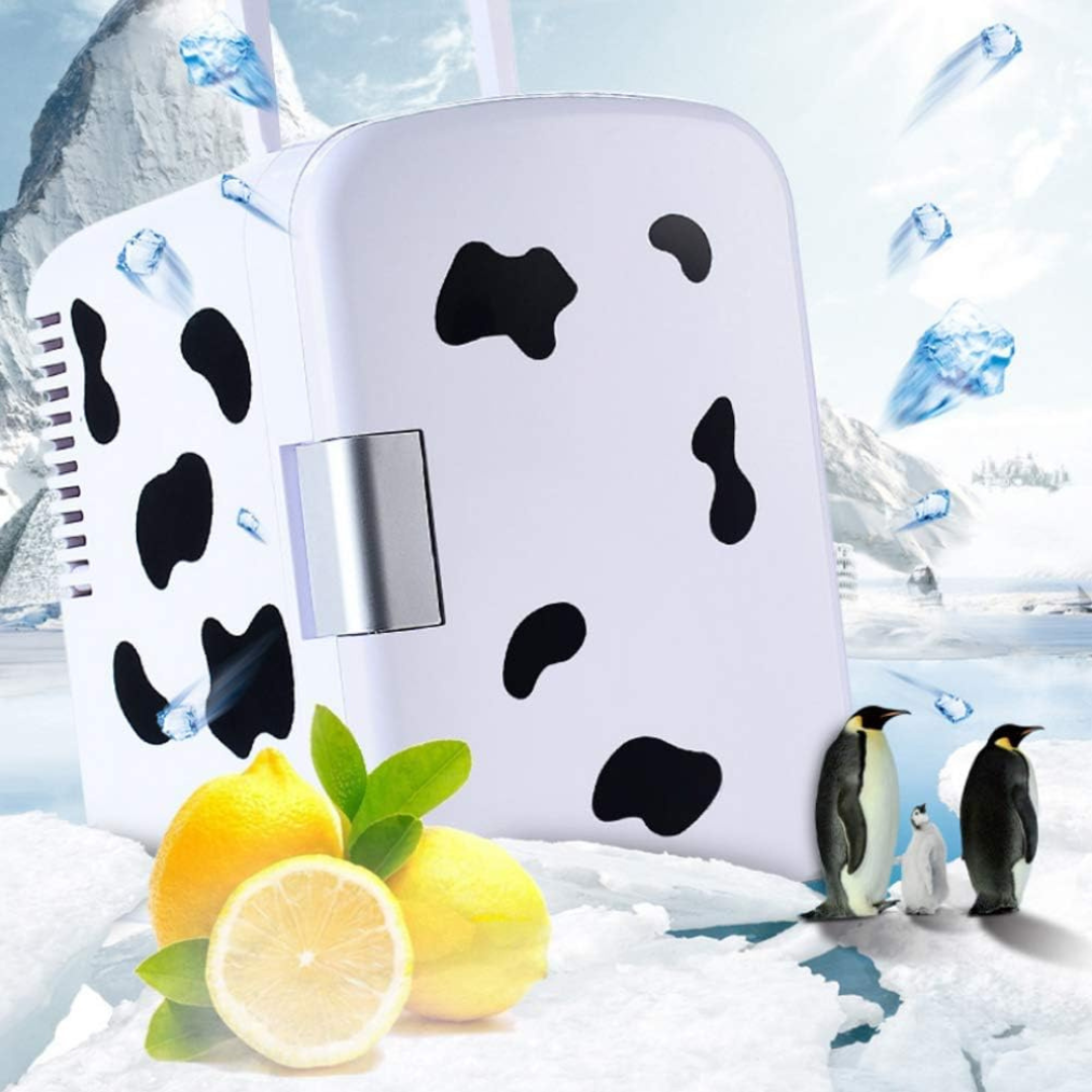 Portable Mini Fridge