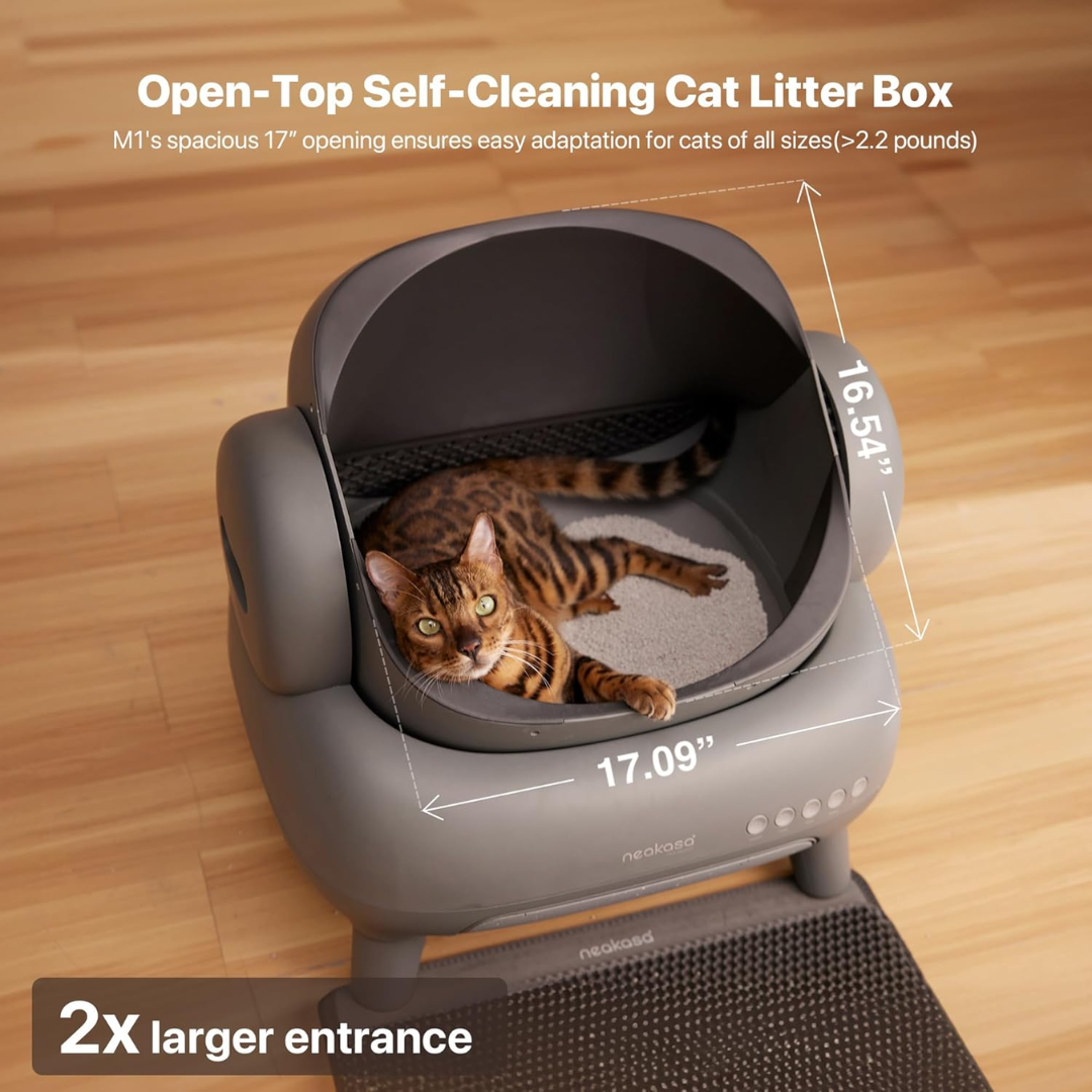 Self Cleaning Cat Litter