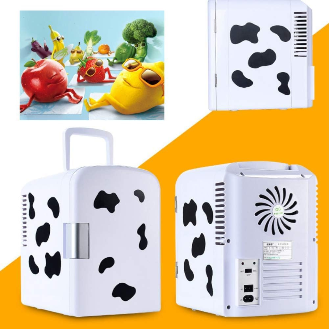 Portable Mini Fridge