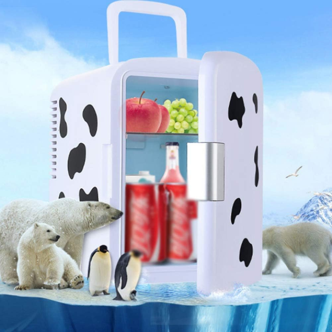 Portable Mini Fridge