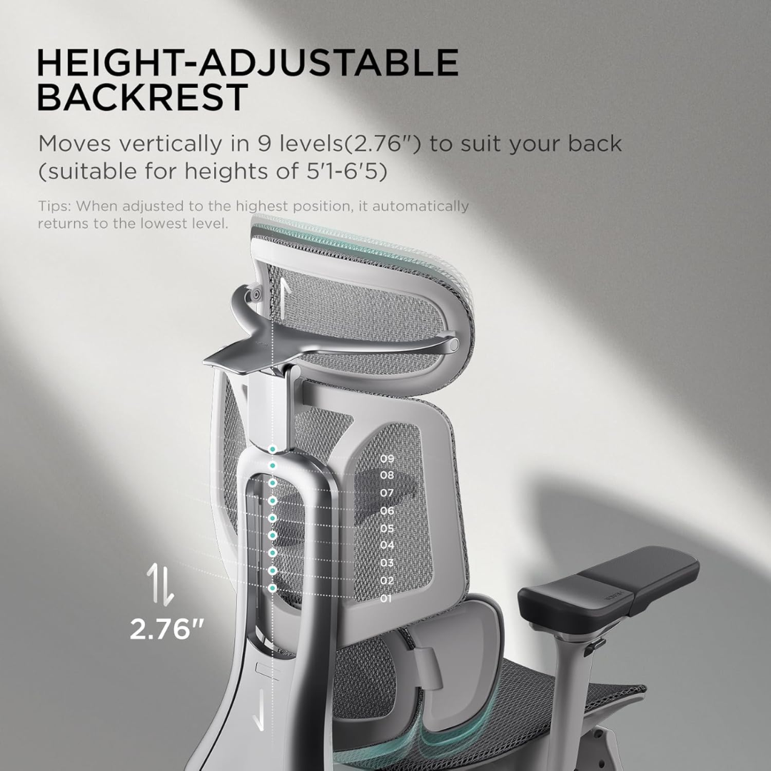 Ergonomic Office Chair