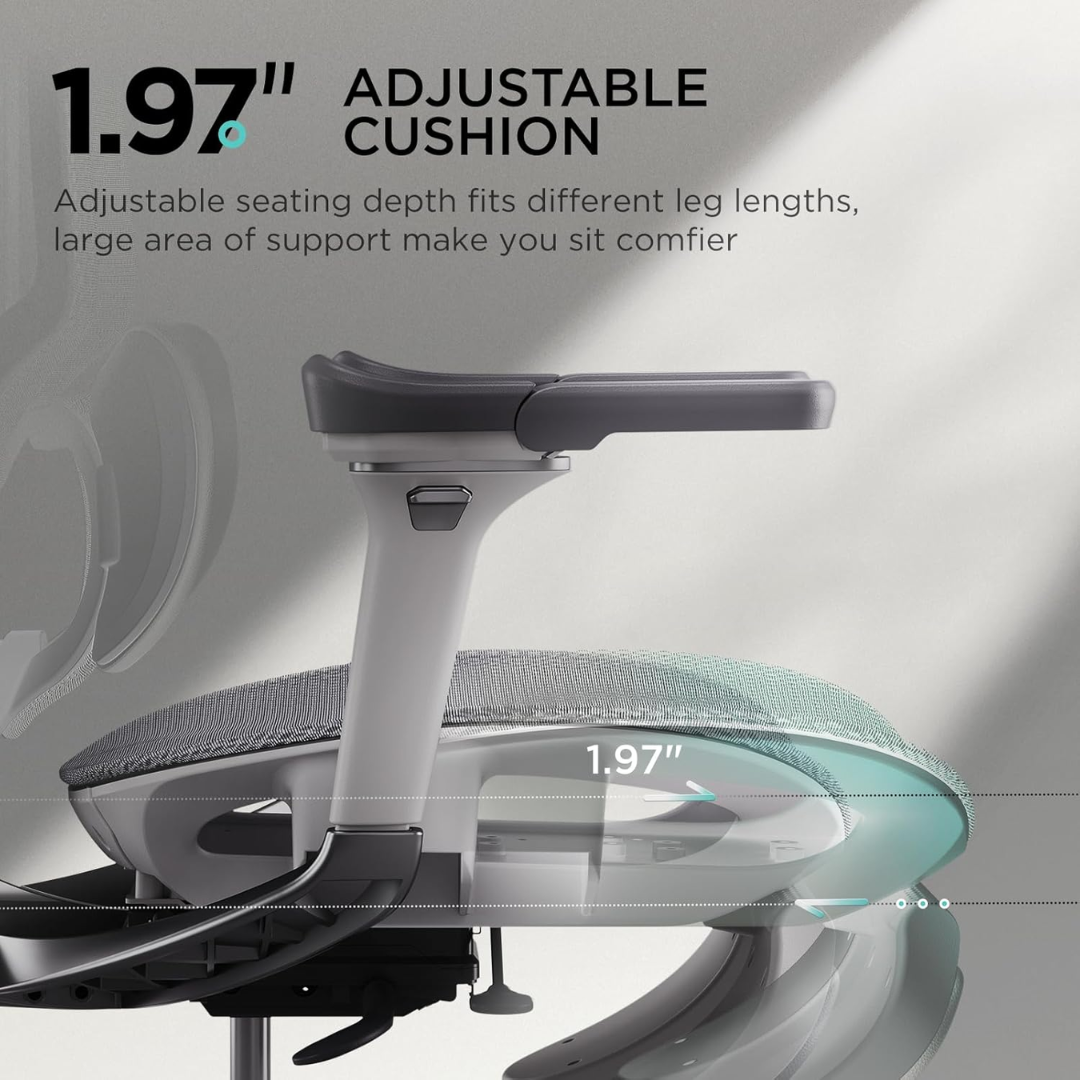 Ergonomic Office Chair