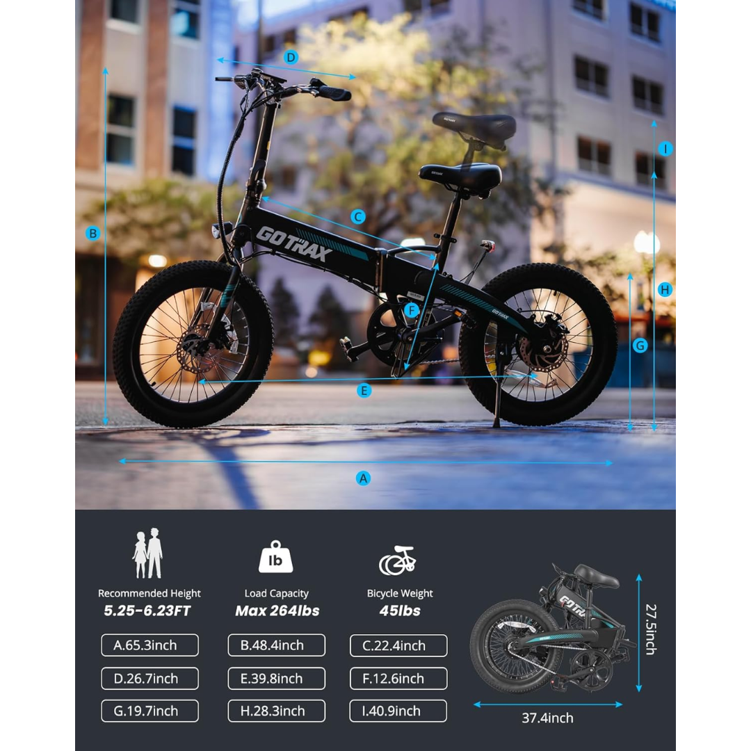 Folding Electric Bike
